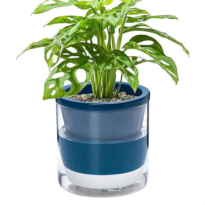 D'vine Dev 6 Inch Design Self Watering Planter for Indoor Plants, Blue Terracotta Pot with Cylinder Glass Cup, 37-X-B-4 by GreenHaven Gardens