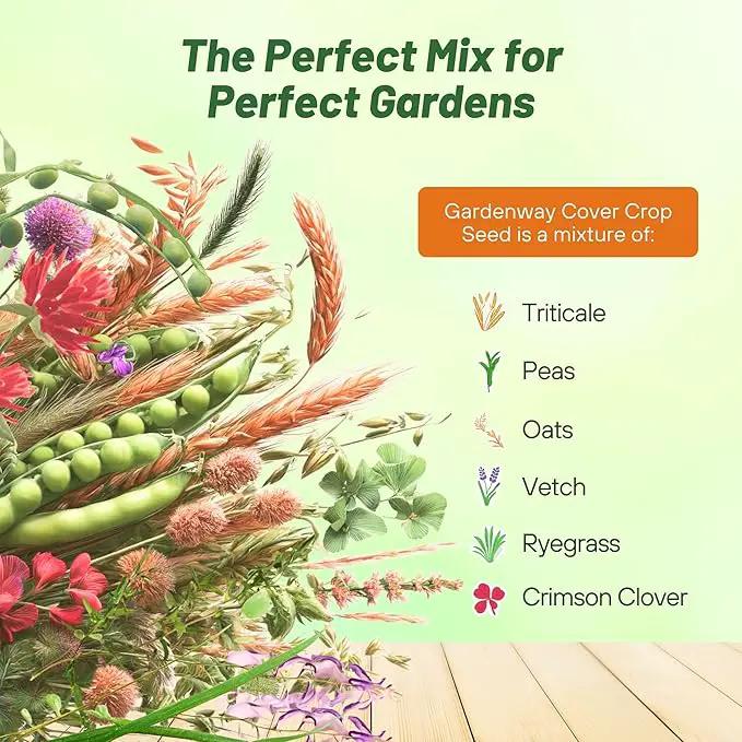 Outsidepride Gardenway Cover Crop Seeds - 50 lbs Fast Growing, Easy to Establish, Nutrient-Rich Mix for Soil Health & Home Gardens - Mixture of Triticale, Peas, Vetch, Annual Ryegrass, Crimson Clover by GreenHaven Gardens