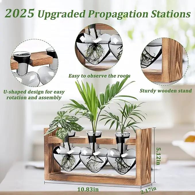 Lifecapido Heart Shaped Propagation Stations, Plant Terrarium with Wooden Stand, Plant Propagation Station for Hydroponics Plants Office Garden Home Decor, Gifts for Women Plant Lover (3 Vases, Gray) by GreenHaven Gardens