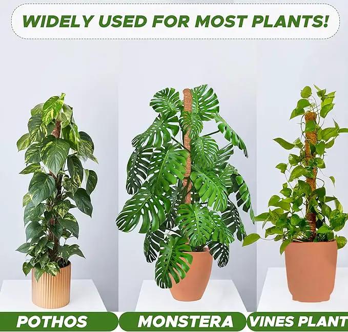 EcoNour 28" 2 Pack Moss Pole | Moss Pole Monstera Plant Support | Plant Sticks for Indoor Climbing Plants | Support for Potted Plants Like Pothos, Philodendrons, and More by GreenHaven Gardens