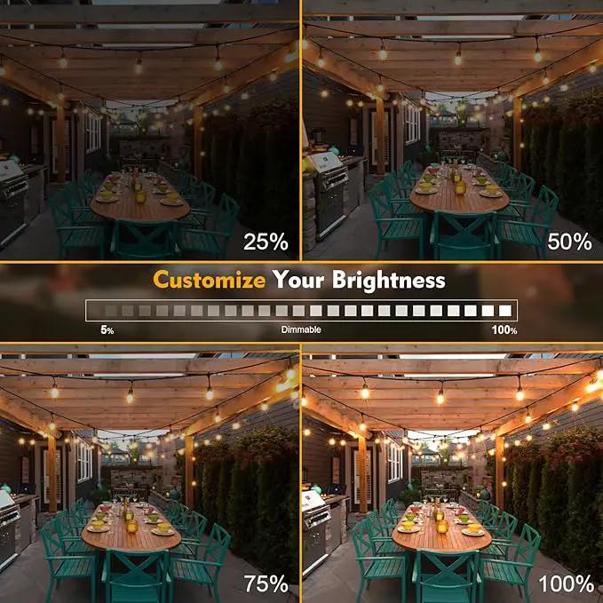 24 Pack LED S14 Replacement Light Bulbs, Waterproof 1W Vintage Edison Bulbs for Outdoor Patio Backyard String Lights, Dimmable, E26 Regular Medium Screw Base, 2200K Warm White by GreenHaven Gardens