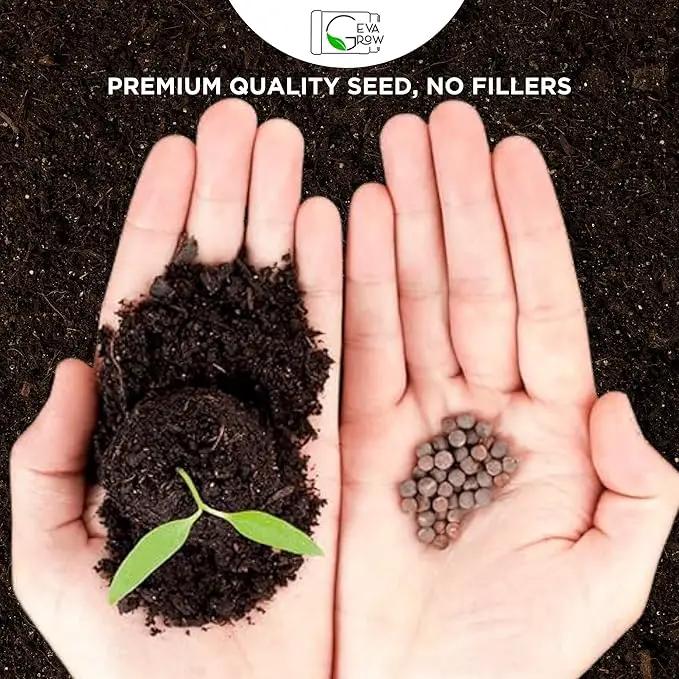Wildflower Seed s – Perennial Flower Seeds Mix to Plant Anywhere, by Geva Grow | 12-Type Beautiful Perennial Wildflower Seeds Bulk 90,000+ Seeds, 2 Ounce, No Messy Packets by GreenHaven Gardens