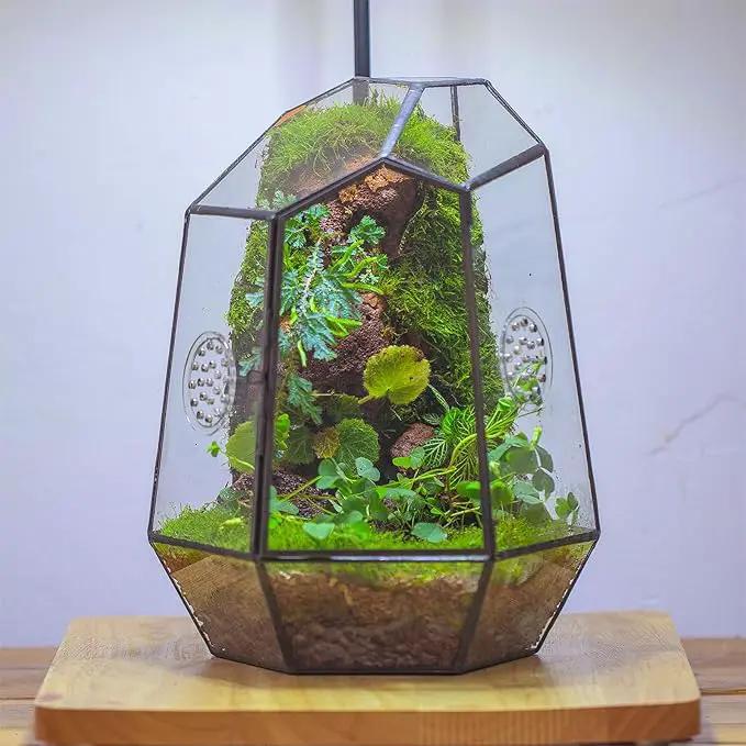 NCYP Closed Geometric Glass Enclosure with Front Opening Door & 2 Vent Holes for Insects, Succulent, Cacti - 7.9"x6.9"x9.8" Black Irregular Terrarium Planter - Home Garden Tabletop Decor (No Plants) by GreenHaven Gardens