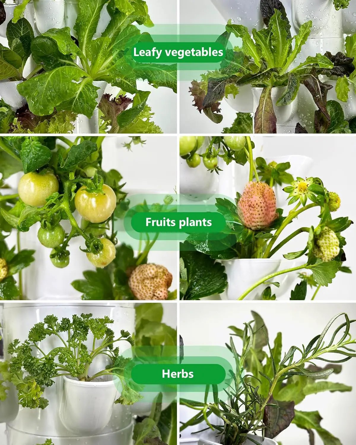 Hydroponic Tower Growing System，30 Pods Vertical Garden，Suitable for Indoor and Outdoor, Grow Herbs and Vegetables，Houseplant Farming with Water Circulation and Automatic Timer by GreenHaven Gardens