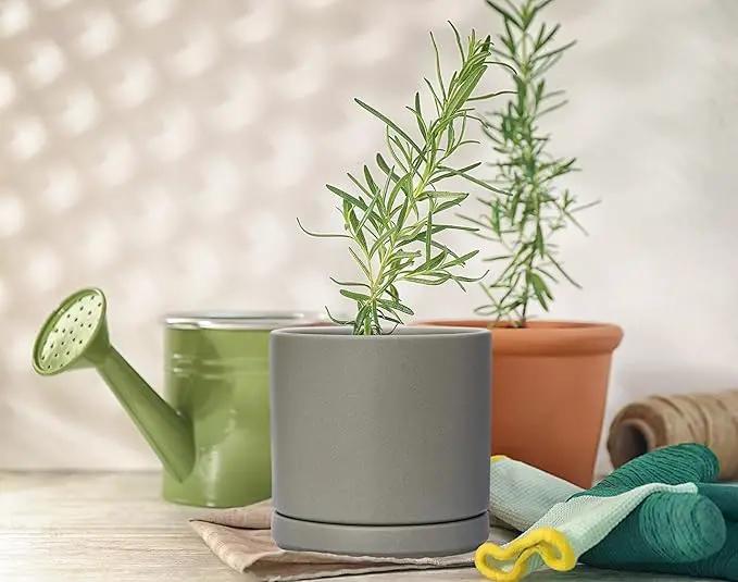 D'vine Dev Set of 2 Plants Pots, 4.6 Inch Ceramic Planter Pot for Plants with Drainage Hole and Saucer, Speckled Grey, 94-V-B-3 by GreenHaven Gardens