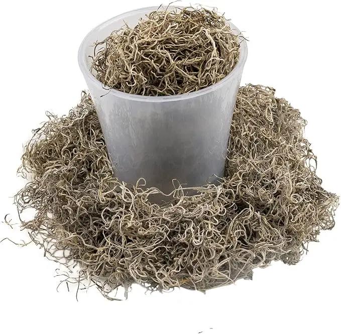 Premium Natural Spanish Moss | Natural Preserved - Great Ground Cover - Filler for Potted Plants - by GARDENERA - 4 Quart Bag by GreenHaven Gardens