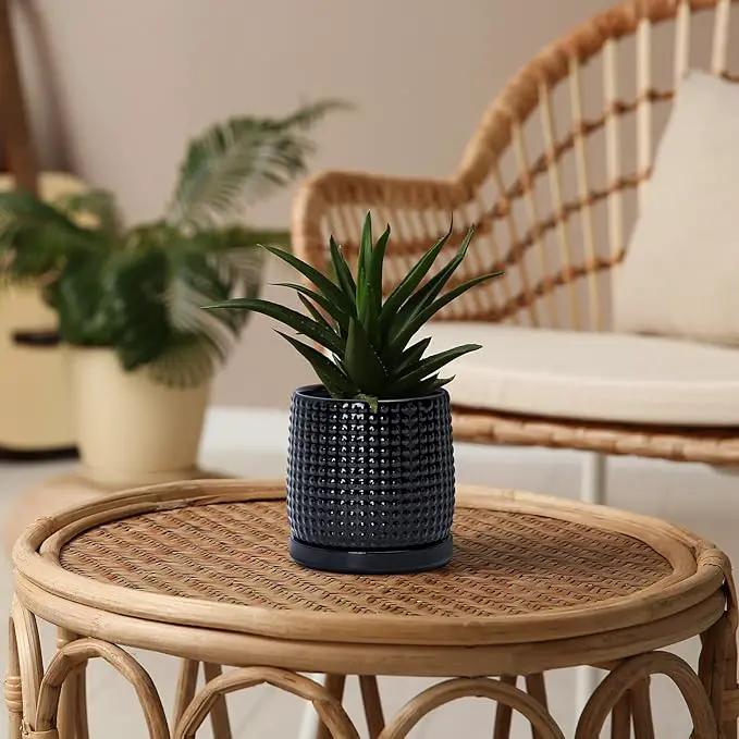 D'vine Dev 4 Inch Ceramic Beaded Stoneware Planter Pot - Flower Pot with Drainage Holes and Saucers for Indoor Succulent Plants or Flowers, Glossy Black, 27-C-Z-2 by GreenHaven Gardens