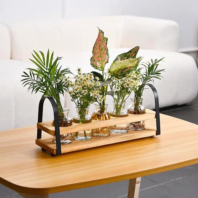 Plant Propagation Stations with Wood Stand, Desktop Plant Terrarium for Propagating Hydroponic, Flower Vase for Home Kitchen Office Decor, Plant Lover Gifts by GreenHaven Gardens
