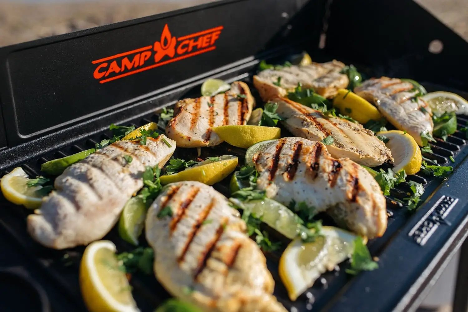Camp Chef Reversible Pre-seasoned Cast Iron Griddle, Cooking Surface 16" x 24" by GreenHaven Gardens