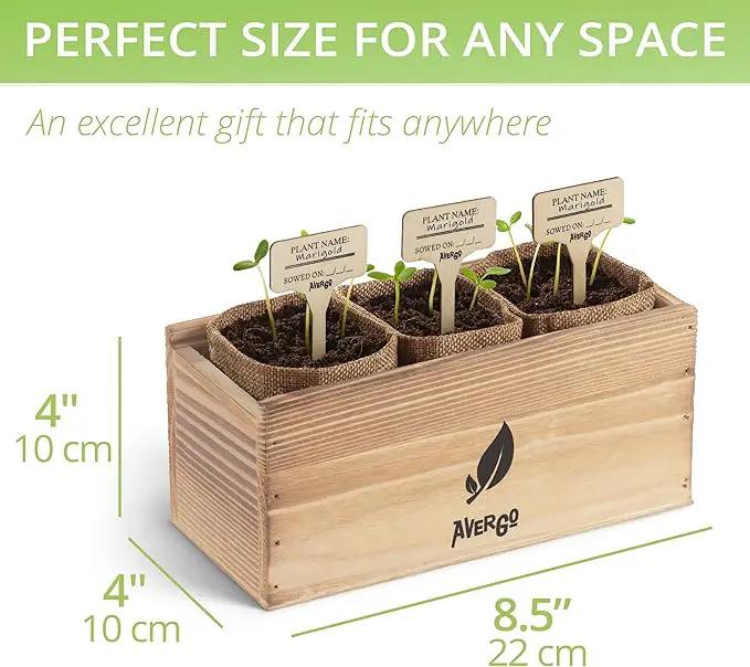 Sunflower, Marigold & Zinnia Flower Seeds Growing Kit – Complete Indoor & Outdoor Kit with Seeds for Planting, Planters, Soil, Tools, Instructions – Ideal for Gift Giving by GreenHaven Gardens