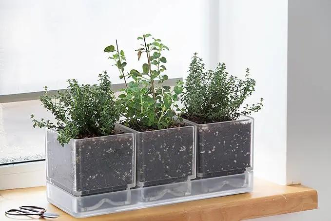 D'vine Dev Herb Garden Planter Set, Plastic Plant Pots with Drainage and Saucer, Indoor Succulent Cactus Vegetable Pot for Windowsill, Garden Balcony, Clear, Set of 1, 76-V-D-1 by GreenHaven Gardens