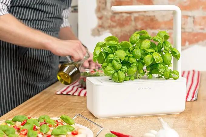 Click & Grow Indoor Herb Garden Kit with Grow Light | Smart Garden for Home Kitchen Windowsill | Easier Than Hydroponics Growing System | Vegetable Gardening Starter (3 Basil Pods Included), White by GreenHaven Gardens