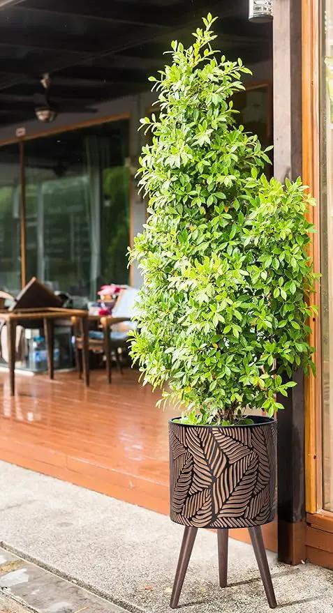 D'vine Dev 12 Inch Planter Pot with Stand, Mid-Century Tall Plant Pot with Legs for Indoor Plants, Large, Bronze/Grey, 88-L-C-6 by GreenHaven Gardens
