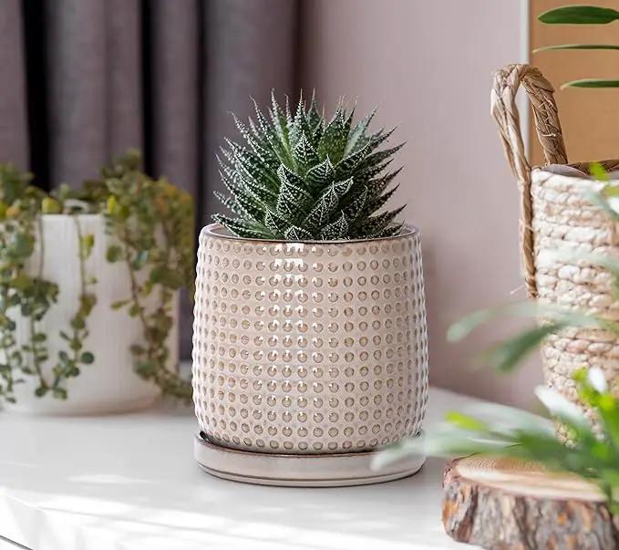 D'vine Dev 6 Inch 4 Inch Ceramic Indoor Planter Pots with Drainage Hole and Saucer, Beaded Design Flower Pots, Set of 2, Light Brown, 27-D-U-4 by GreenHaven Gardens