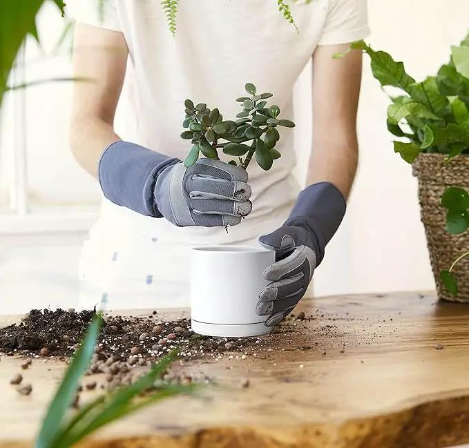 D'vine Dev Ceramic Planter Pot with Drainage Hole and Saucer, Indoor Cylinder Round Flower Pot, 4.6 Inch, White, 94-O-B-1 by GreenHaven Gardens