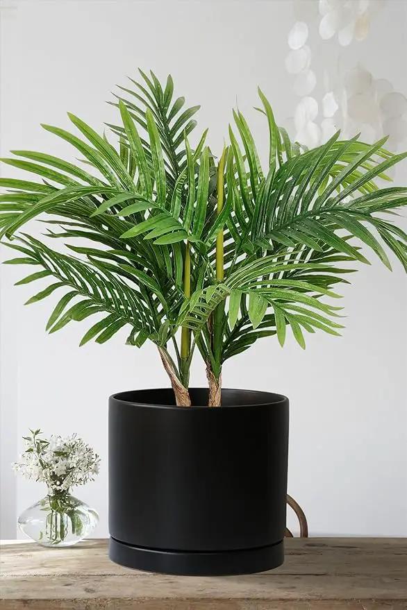 Aveyas 8 inch Ceramic Plant Pot with Drainage Hole and Saucer - Suitable for Indoor and Outdoor Use, Modern Planters for House Garden Flower Tree Snake Monstera Plants (8", Matte Black) by GreenHaven Gardens