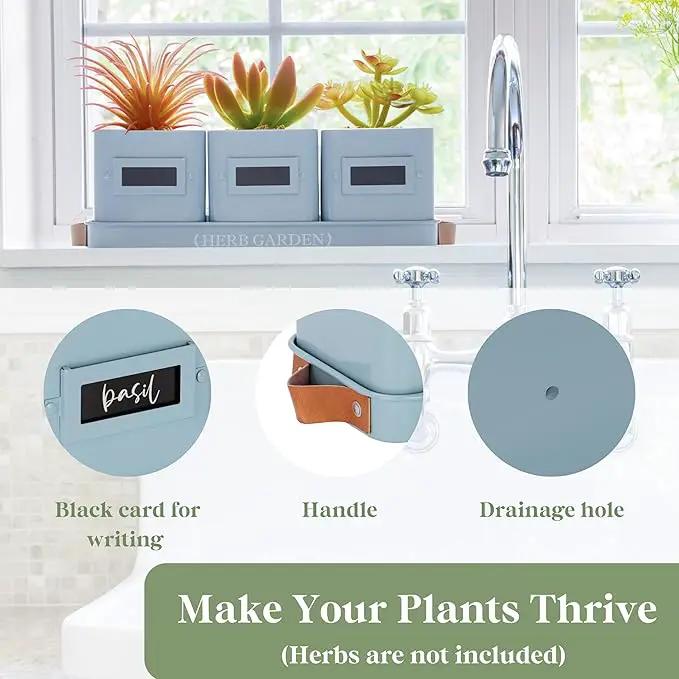 PERFNIQUE Indoor Herb Garden, Herb Garden Planter Set with Tray, Farmhouse Indoor Plant Pots, Windowsill Herb Garden with Drainage(Planter only) for Indoor/Outdoor, Window Pots(Sky Blue) by GreenHaven Gardens