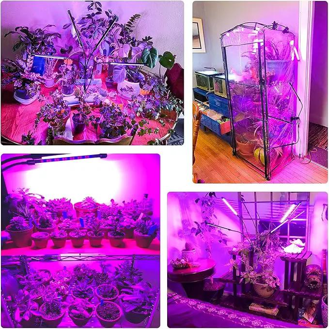 Wolezek Grow Lights for Indoor Plants, 80 LEDs 4 Heads Full Spectrum Red & Blue Plant Light with Clip, Grow Lamp with 6/12/16H Auto Timer, 3 Switch Modes for Seedlings and Succulents by GreenHaven Gardens