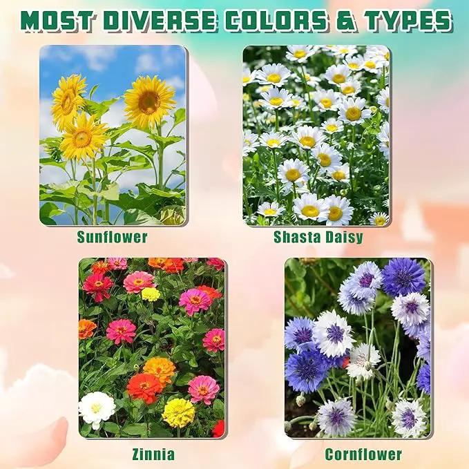 Indoor Daisy Garden Starter Kit, 4 Flower Seeds Growing into Shasta Daisy, Cornflower, Sunflower, Zinnia, Including Complete Gardening Tools, Christmas Gifts for Women Men & Beginners by GreenHaven Gardens
