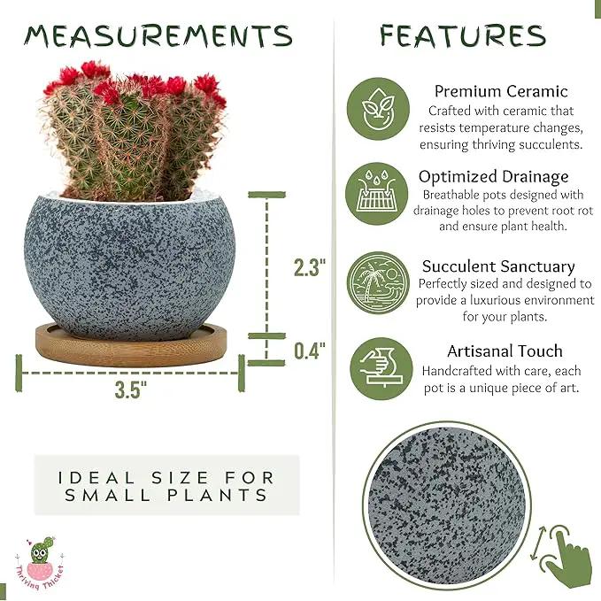 3 inch Ceramic pots for Plants, Small Succulent Pots Set with Drainage, 6 Pack Flower Pot for Indoor Plant, Decorative Planters for Little or Mini Cactus by GreenHaven Gardens