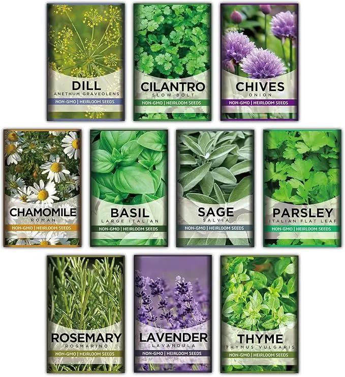 10 Kit Non-GMO Growing into Thyme, Lavender, Chamomile, Dill, Chives, Cilantro, Rosemary, Basil, Parsley, Sage Indoor/Outdoor for Kitchen Windowsill Gardening Gift by GreenHaven Gardens