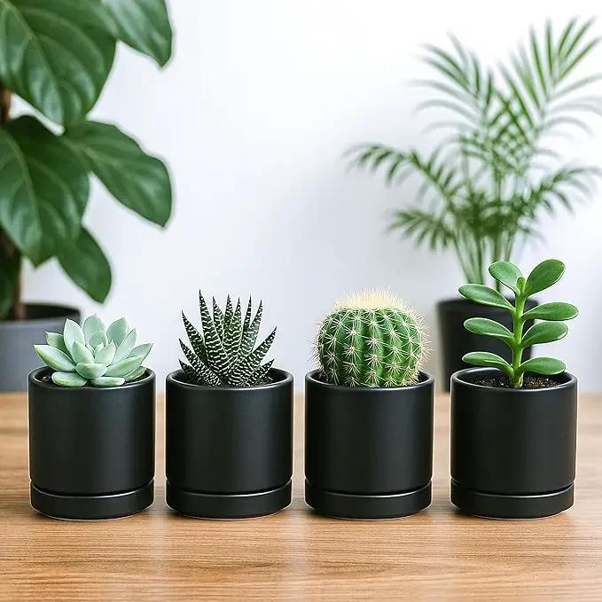 D'vine Dev Set of 4 Small Ceramic Plant Pots, 3.5 Inch Succulent Planter Pot for Plants with Drainage Hole and Saucer, Black, 94-X-A-2 by GreenHaven Gardens
