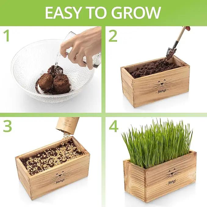 Cat Grass Kit for Indoor Cats – x4 Seed Packets | Cat Grass Seeds with Wooden Planter, Soil & Mini Gardening Tools for Nipping – Pet-Safe Wheatgrass Grass by GreenHaven Gardens