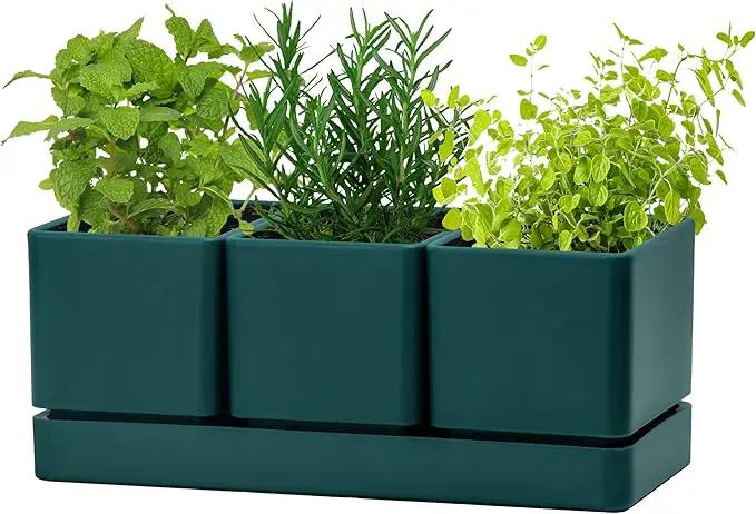 D'vine Dev Herb Garden Planter Set, Plastic Plant Pots with Drainage and Saucer, Indoor Succulent Cactus Vegetable Pot for Windowsill, Garden Balcony, Green, Set of 1, 76-V-C-1 by GreenHaven Gardens