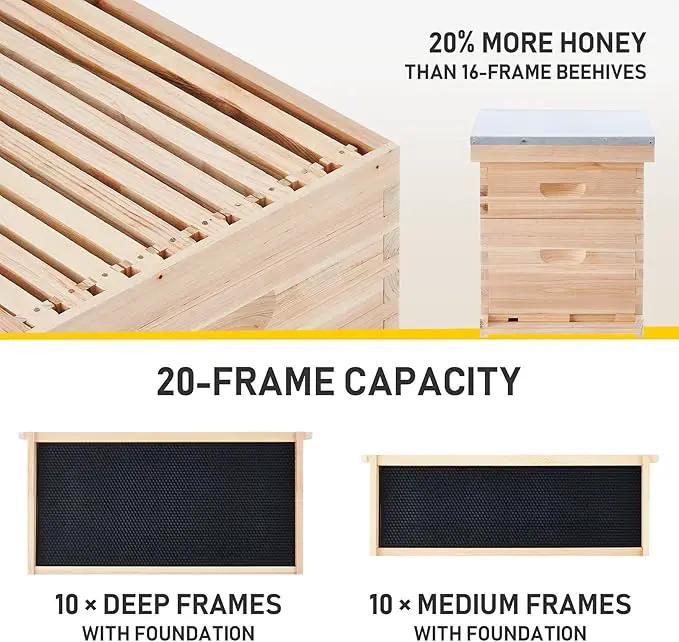 CREWORKS Bee Hive Boxes 10 Frame Langstroth Beehive, Bee Keeping Starter Kit Includes 1 Super Bee Box & 1 Bee Brood Box with Beehive Frames and Foundation, 2 Layers Complete Bee Hive Kit by GreenHaven Gardens