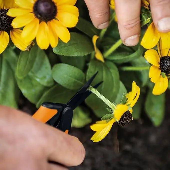 Fiskars 6" Pruning Scissors for Flowers, Buds, Weeds and Small Plants, Garden Snips with Resin Resistant Nonstick Stainless Steel Blades, Gardening Trimmers with Comfortable Handle by GreenHaven Gardens