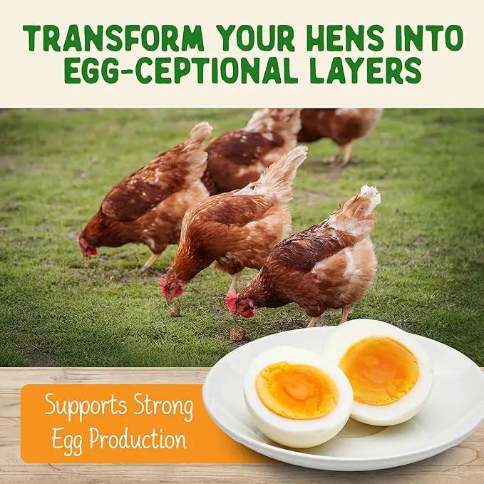 Doc Eddie’s Backyard Chicken Supplement - Plant-Based Treats for Egg Laying Hens - Poultry Feed Enrichment Made with Omega 3 Rich Algae - Essential for Immune Health, Feather Regrowth, Egg Production by GreenHaven Gardens