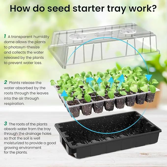 MIXC Seed Starter Tray with Lights, 2 Packs Mini Propagator Plant Grow Kit Greenhouse with Humidity Vented Domes and Base for Seeds Starting, Black by GreenHaven Gardens