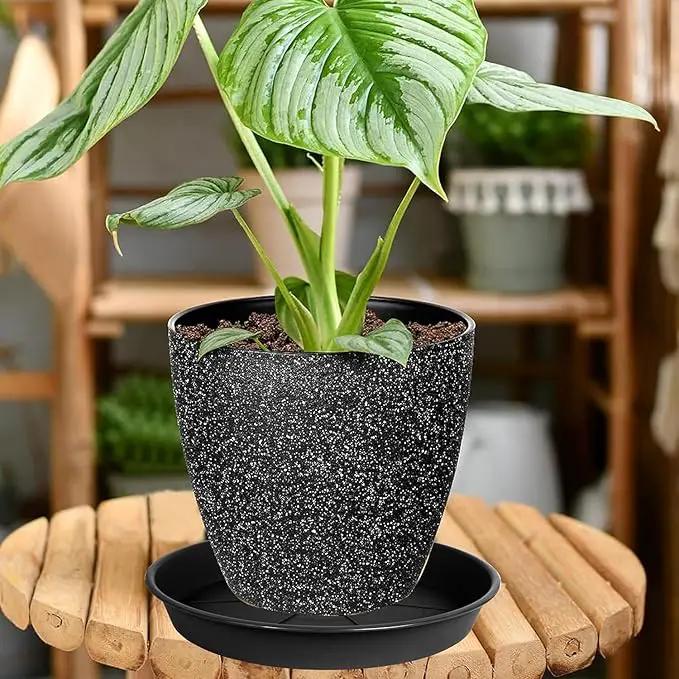 1 Pack of Plant Saucer Tray 8 inch, Heavy Duty Plastic Pot Plant Drip Trays Saucers for for Indoors Outdoor, Plant Water Tray for Planters (8", Black) by GreenHaven Gardens