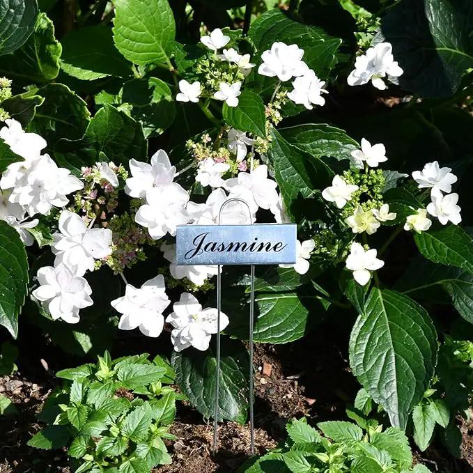 50 Pack Metal Plant Labels for Outdoor Garden Waterproof Plant Markers, Labels Garden Markers for Seedlings Herbs Vegetable Greenhouse Gifts, with Pen by GreenHaven Gardens