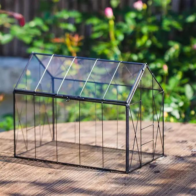 NCYP Geometric Glass Terrarium with Lid for Succulent, Small Cactus - Handmade Clear Closed House Shape Box - Home Indoor Tabletop Garden Decor, Black 9.4" x 5.5" x 7.3" (No Plants) by GreenHaven Gardens