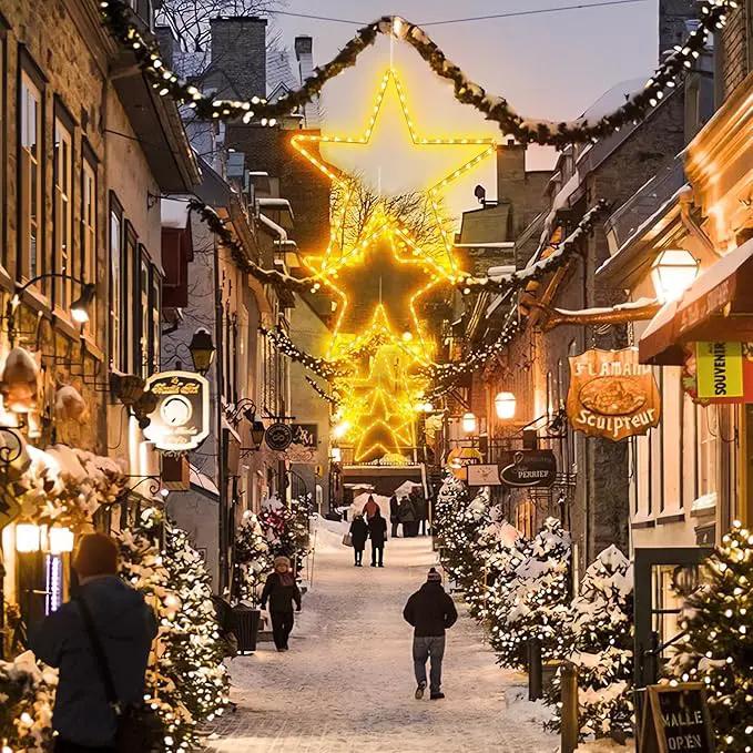 DBFAIRY 19.68" Star Outdoor Christmas Lights, 40 LEDs Christmas Light Up Star with Timer, Hanging Big Star Window Lights Mains Powered for Christmas New Year Holiday Wedding Party Decor, Warm White by GreenHaven Gardens