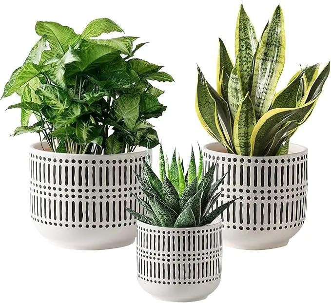 Docrin Plant Pots Ceramic: 6.5+5.3+4 Inch Flower Pots with Drainage Holes for Home/Office - Set of 3/White and Black by GreenHaven Gardens