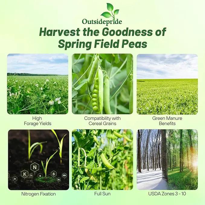 Outsidepride Dundale Spring Field Peas Seeds - 10 lbs. Annual, High-Protein Legume & Cover Crop Seeds for Forage, Food Plot, Gardens & Pastures - Ideal for Improving Soil Health, & Erosion Control by GreenHaven Gardens