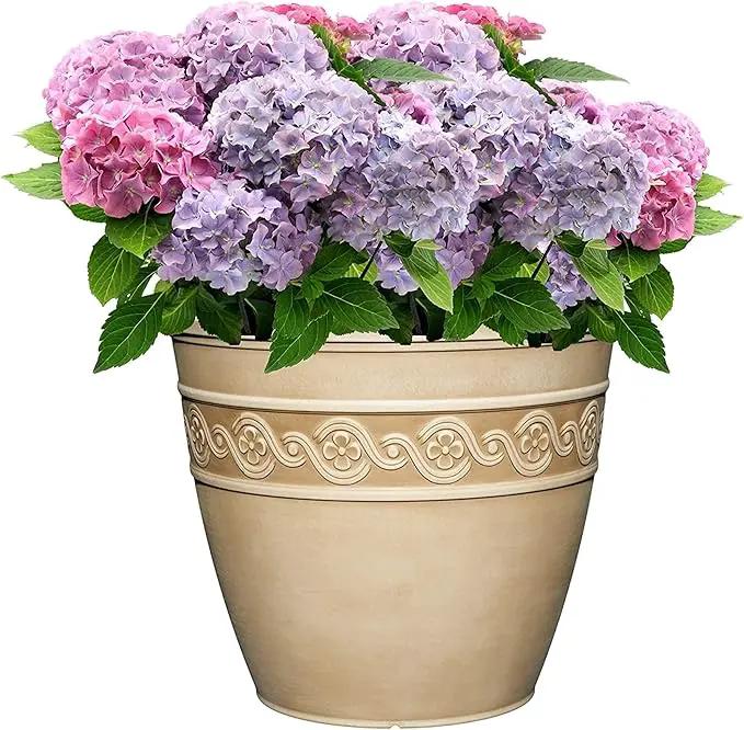 Classic Home and Garden Corinthian Resin Flower Pot Planter, Desert Tan, 10" by GreenHaven Gardens