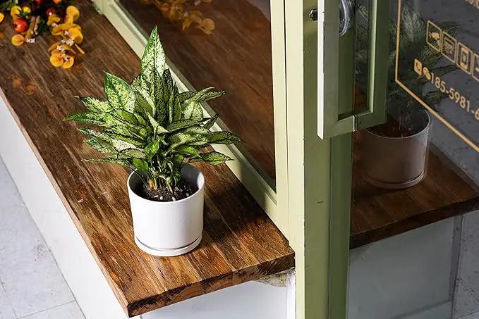 Ekirlin 5 inch Plant Pots,Ceramic Flower Planters Indoor,Modern Succulents Containers with Drain Hole Saucer,Decorate Home,Office & Outdoor (White) by GreenHaven Gardens