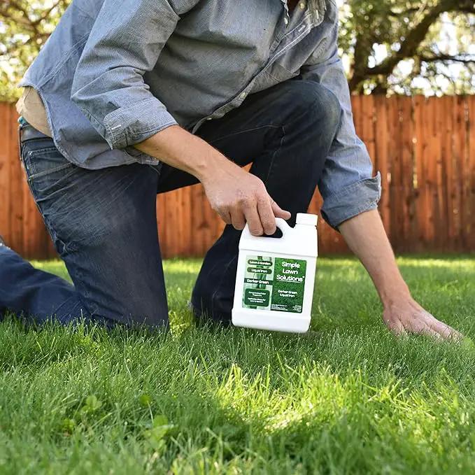 Simple Lawn Solutions - Liquid Iron Fertilizer Darker Green - Chelated Micronutrients - Concentrated Green Booster for Turf Grass, Indoor Plants and Outdoor Garden (32 Ounce) by GreenHaven Gardens