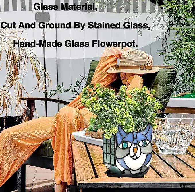 Indoor Plant Display Glass Container, Unique Pots for Plants, Glass Container Decoration,Suitable for Growing Small Plants 4.6x5.15x3 in （Excluding Plants） by GreenHaven Gardens