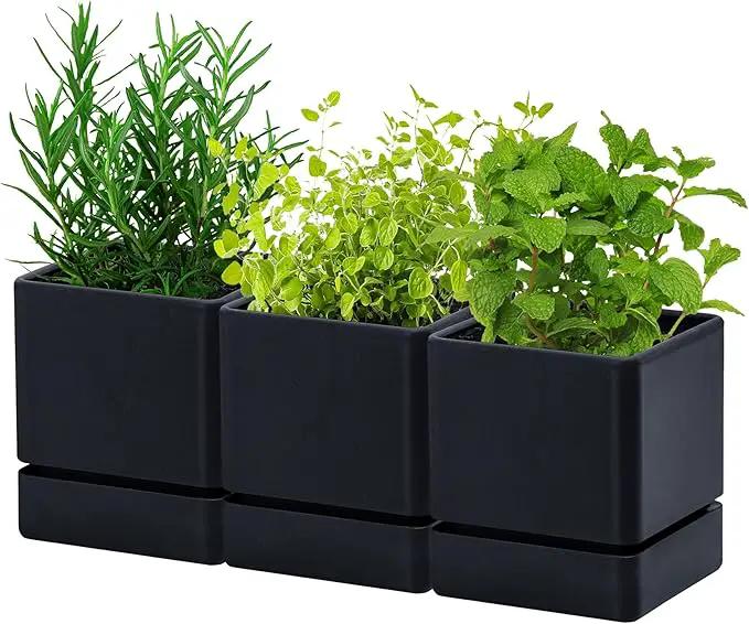 4 Inch Herb Planter Pot, Plastic Planter with Drainage Holes and Saucer, Modern Decorative Gardening Pot for Indoor Plants, Flowers, Herbs, Succulents, Black, Set of 3, 76-Y-B-3 by GreenHaven Gardens