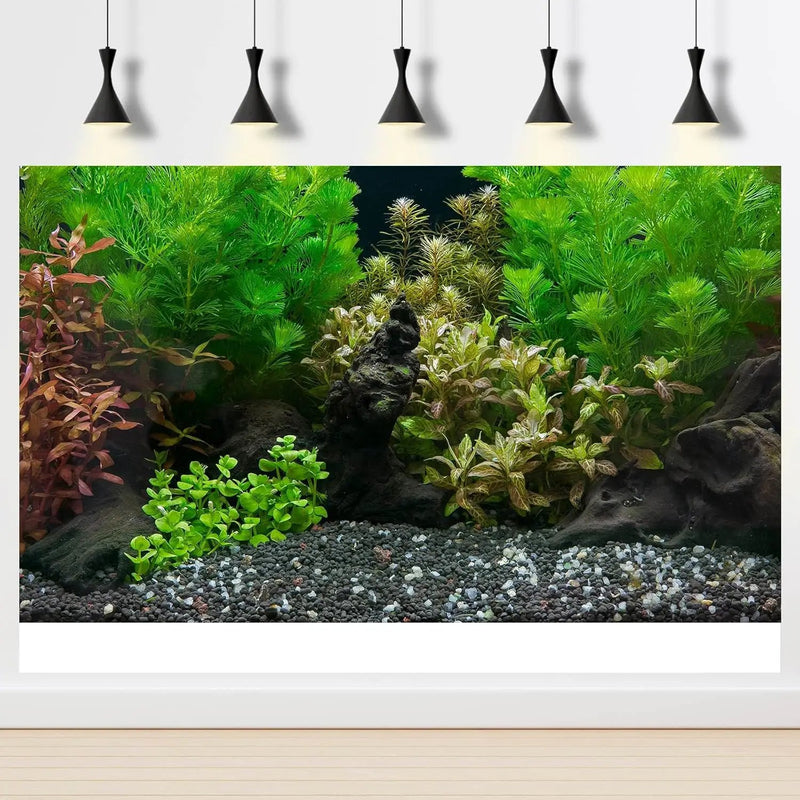 Aquarium Background Exquisite Underwater Grass Leaves with Pebbles Aquarium Backdrop Vivid Green Aquatic Plant Stone with Dead Woods and Fresh Leaves Fish Tank Wallpaper 72x16in by GreenHaven Gardens