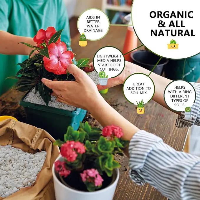 15QT Horticultural Perlite Bulk, Organic Perlite for Plants, Course Perlite for Gardening, for Plants Indoor, for Houseplants, to Promotes Soil Root Growth, and Water Drainage and Plant Growth(3-6mm) by GreenHaven Gardens