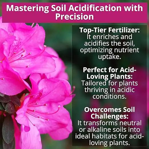 8-4-8 Acidic Fertilizer for Azaleas, Camellias (Camelia), Hydrangeas, Blueberries, Gardenias, Magnolia Trees, Evergreens, and Rhododendrons - Ideal Iron-Rich Plant Food (1 Quart) by GreenHaven Gardens