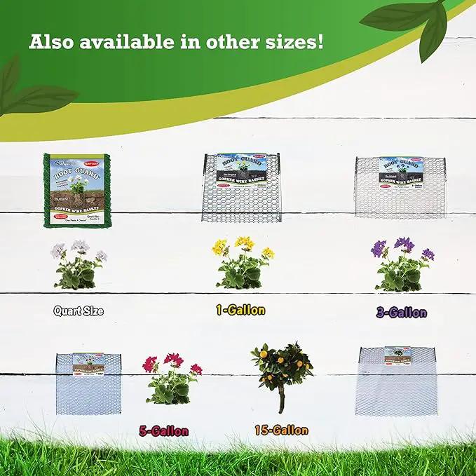 Digger’s 1-Gallon Heavy-Duty Wire Basket - Gopher Wire Basket for Perennials & Vegetables (12 Baskets) by GreenHaven Gardens
