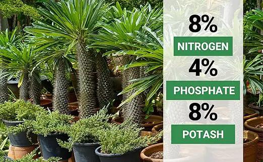 8-4-8 Professional Palm Tree Fertilizer Plant Food; for Indoor Potted Plants and Outdoor Landscape Palm Trees; Quick-Release Nitrogen Fertilizer and Continuous Feeding (4 QUARTS) by GreenHaven Gardens
