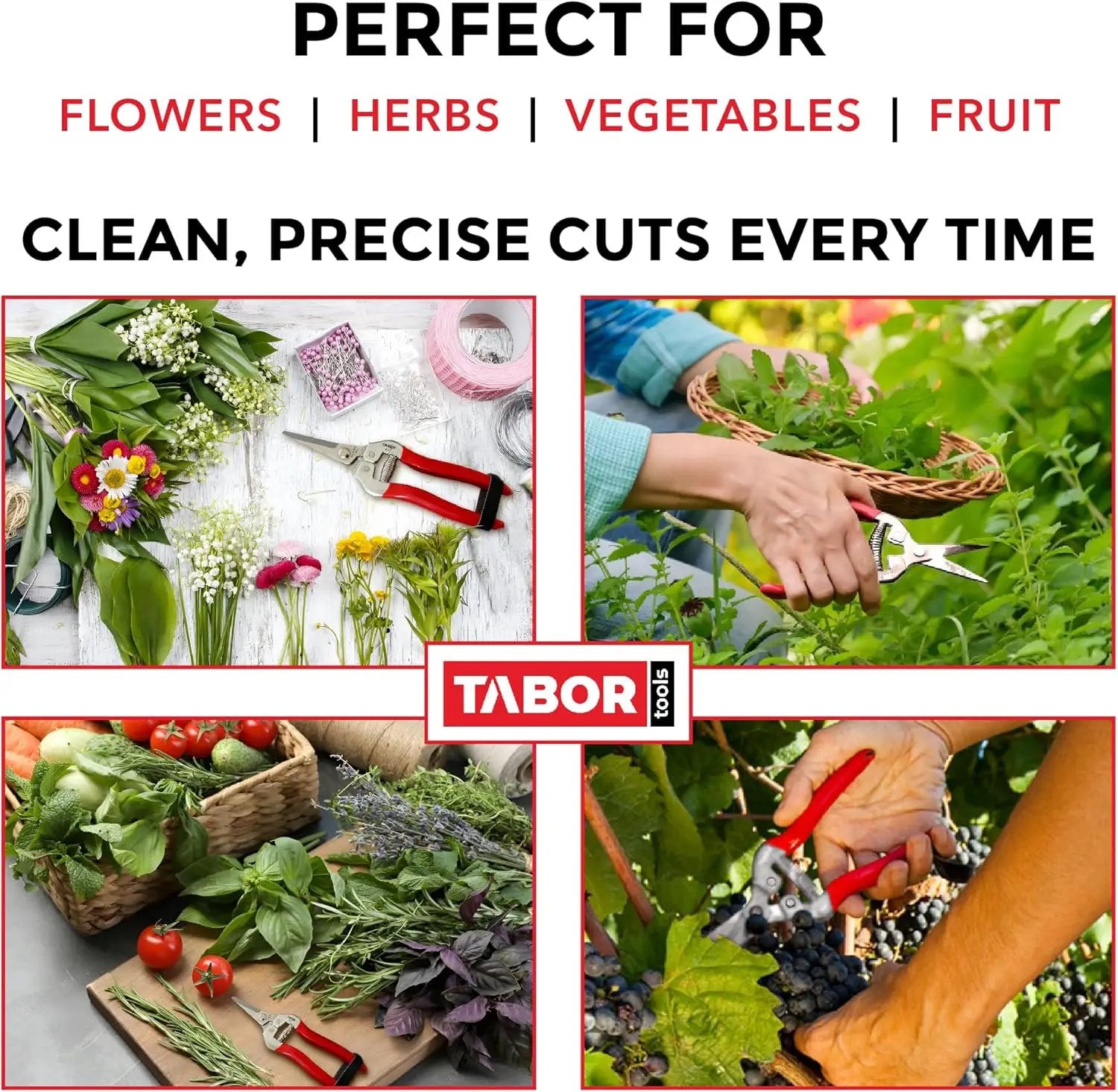 TABOR TOOLS Pruning Shears, Florist Scissors, Multi-Tasking Garden Snips for Arranging Flowers, Trimming Plants and Harvesting Herbs, Fruits or Vegetables. K17A. (Straight, Stainless Steel Blades) by GreenHaven Gardens