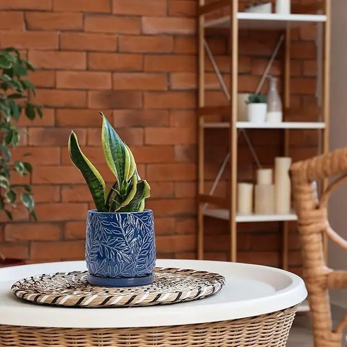 D'vine Dev 6 Inch Embossed Leaves Stoneware Planter Pot with Drainage Hole and Saucer, Midnight Blue, 27-A-X-3 by GreenHaven Gardens